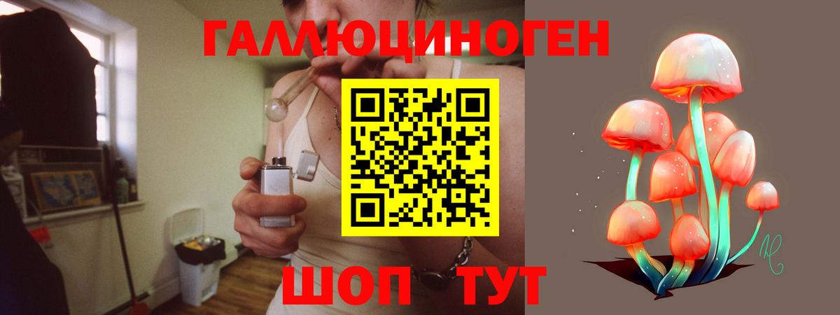 Кизляр  Псилоцибиновые грибы Psilocybe  Вход с VPN 